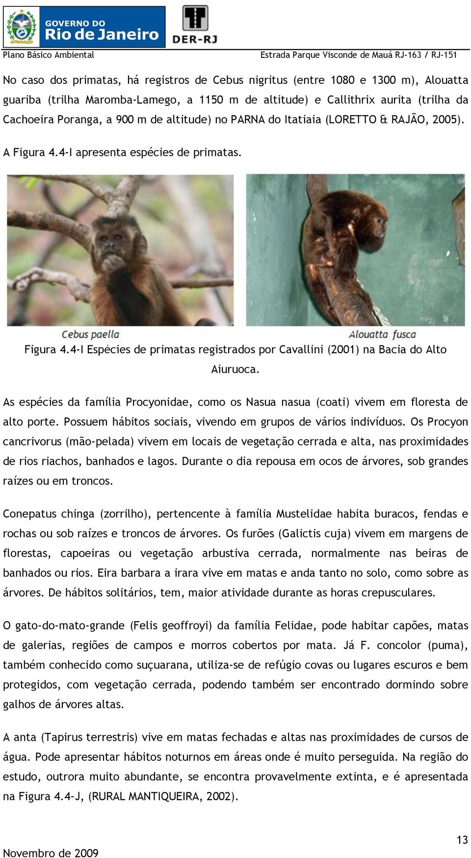 As espécies da família Procyonidae, como os Nasua nasua (coati) vivem em floresta de alto porte. Possuem hábitos sociais, vivendo em grupos de vários indivíduos.
