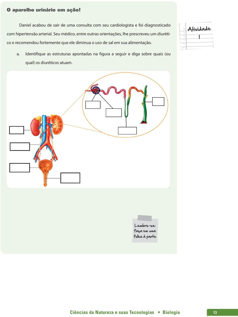 Seu médico, entre outras orientações, lhe prescreveu um diurético e recomendou fortemente que ele diminua o