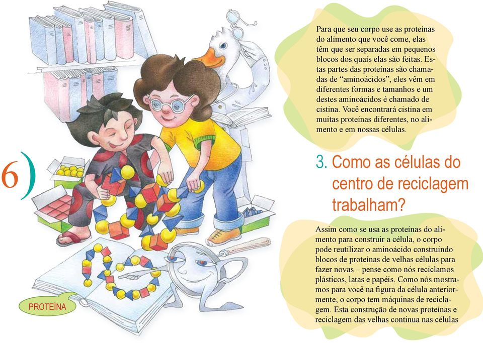 Você encontrará cistina em muitas proteínas diferentes, no alimento e em nossas células. 6) 3. Como as células do centro de reciclagem trabalham?