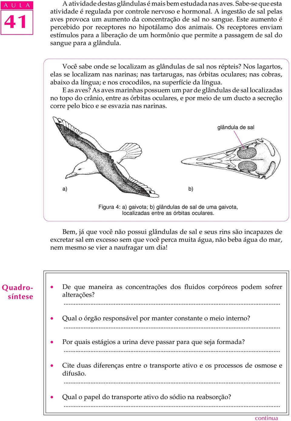 Os receptores enviam estímulos para a liberação de um hormônio que permite a passagem de sal do sangue para a glândula. Você sabe onde se localizam as glândulas de sal nos répteis?