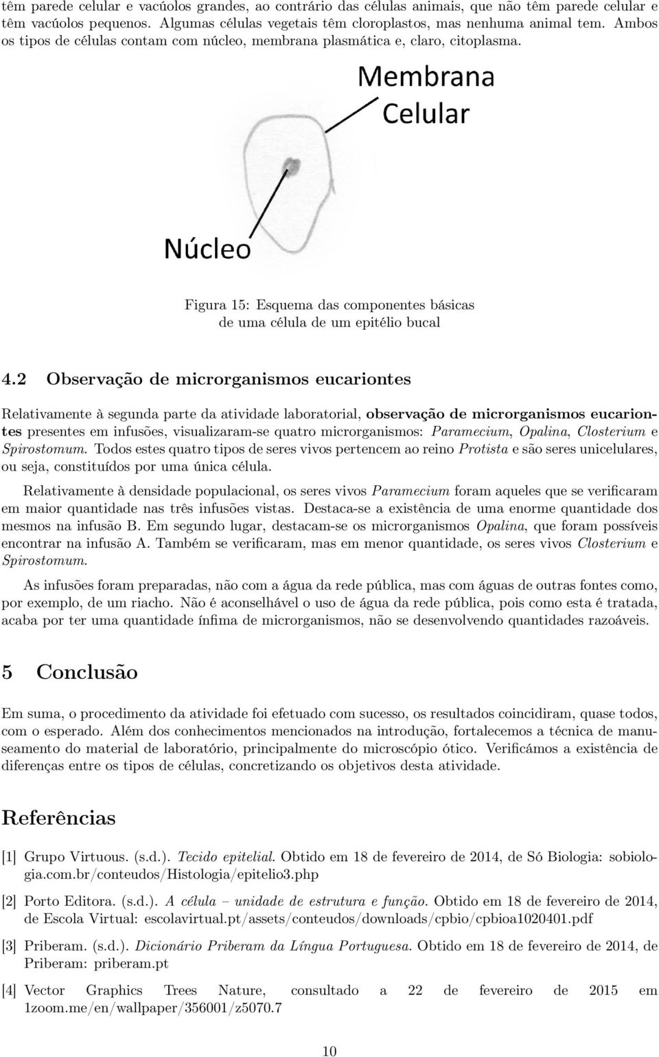 2 Observação de microrganismos eucariontes Relativamente à segunda parte da atividade laboratorial, observação de microrganismos eucariontes presentes em infusões, visualizaram-se quatro