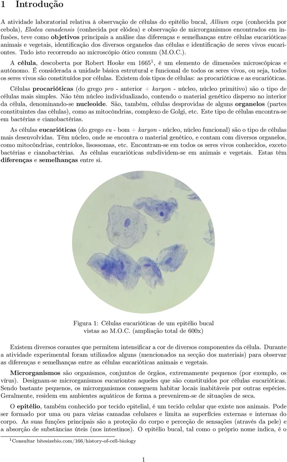 identificação de seres vivos eucariontes. Tudo isto recorrendo ao microscópio ótico comum (M.O.C.).