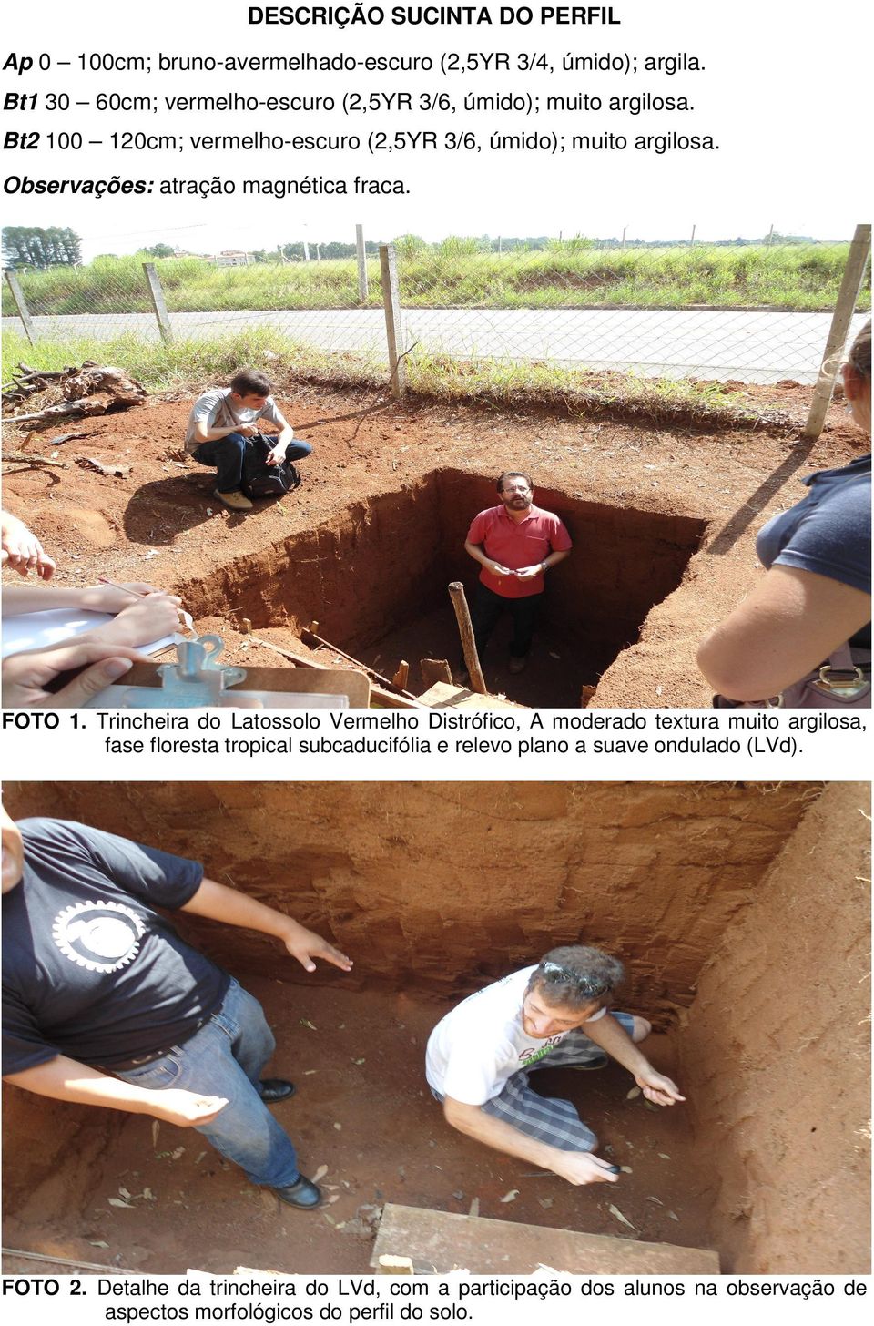 Observações: atração magnética fraca. FOTO 1.