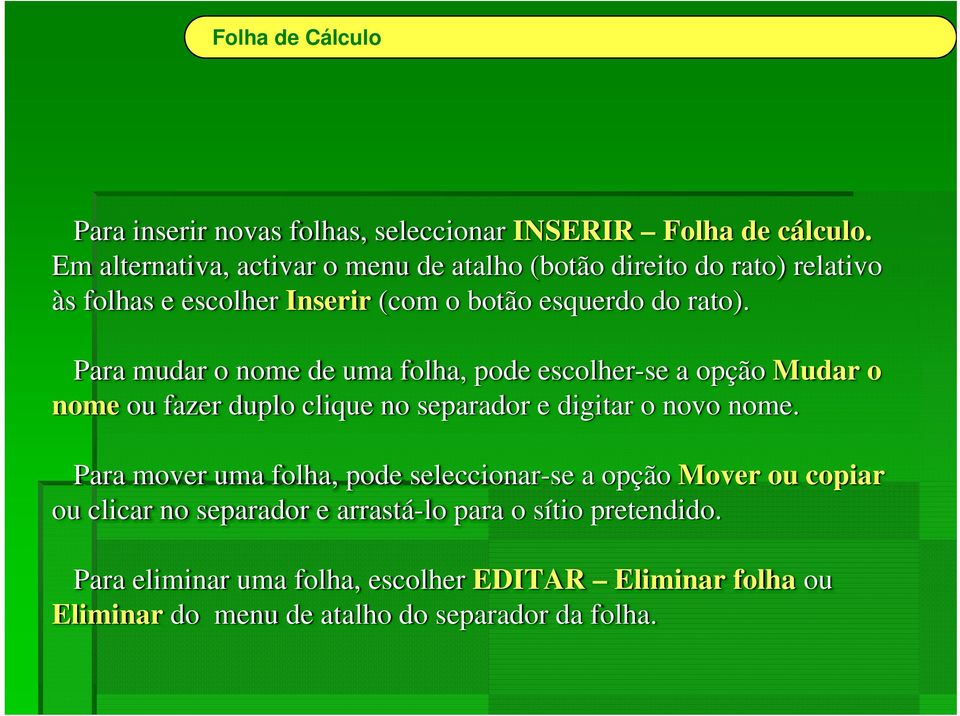 Para mudar o nome de uma folha, pode escolher-se a opção Mudar o nome ou fazer duplo clique no separador e digitar o novo nome.