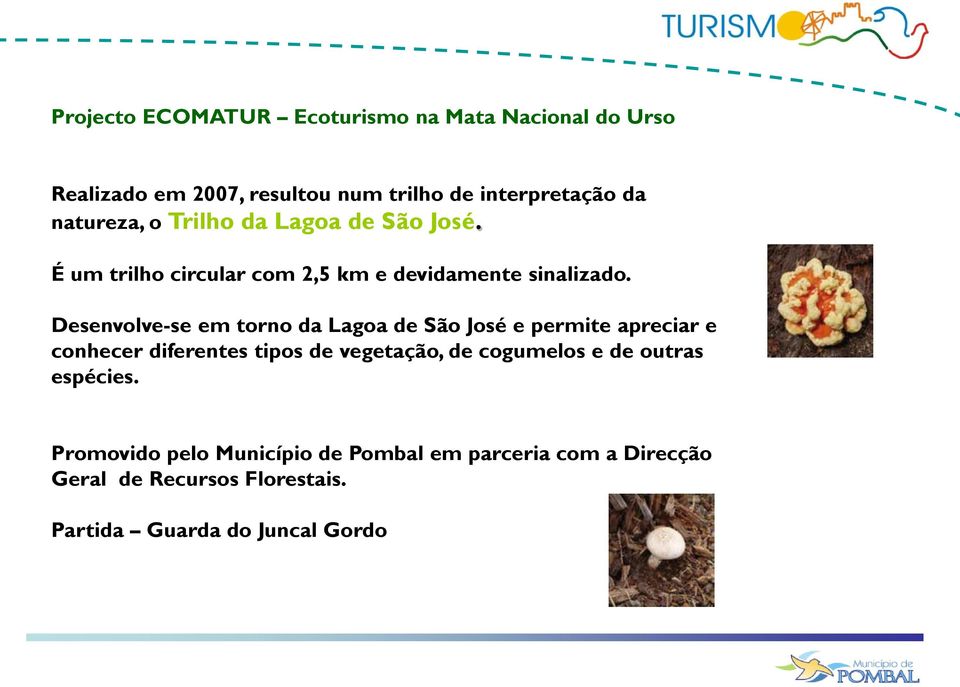 Desenvolve-se em torno da Lagoa de São José e permite apreciar e conhecer diferentes tipos de vegetação, de cogumelos