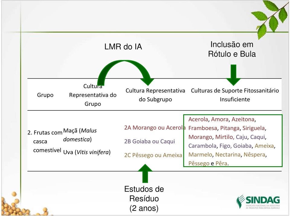 Frutas com Maçã (Malus casca domestica) comestível Uva (Vitis vinifera) 2A Morango ou Acerola 2B Goiaba ou Caqui 2C
