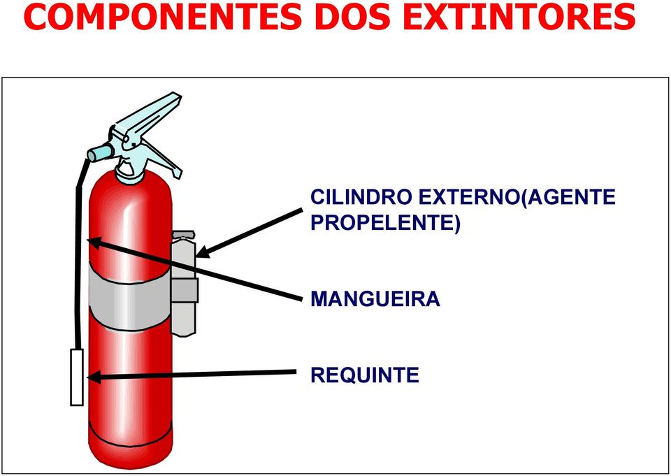 EXTERNO(AGENTE