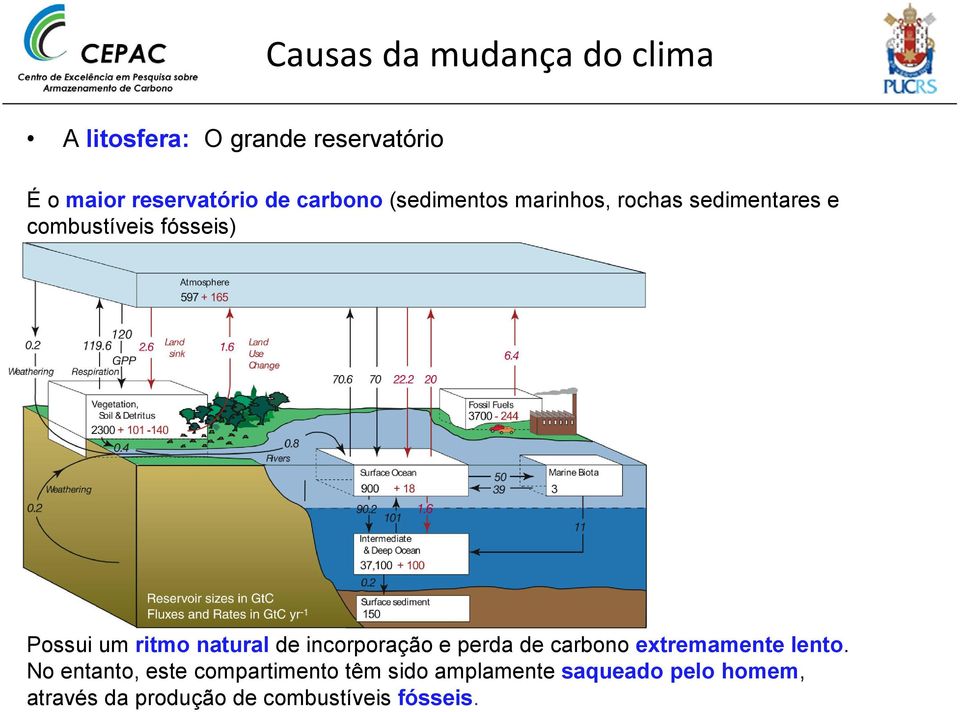 incorporação e perda de carbono extremamente lento.