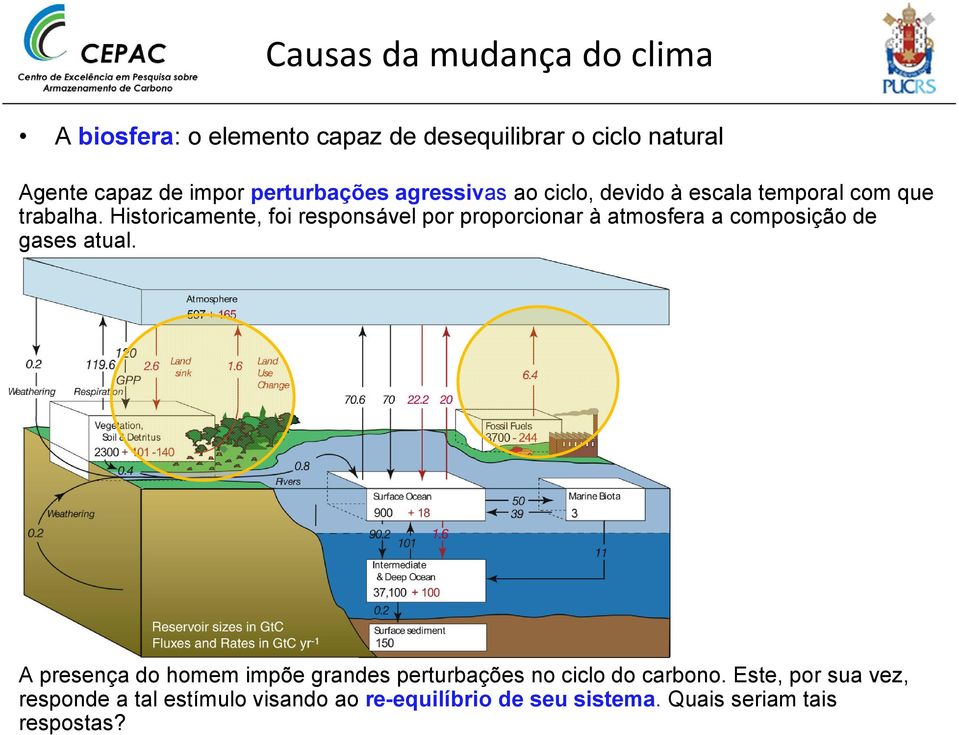 Historicamente, foi responsável por proporcionar à atmosfera a composição de gases atual.