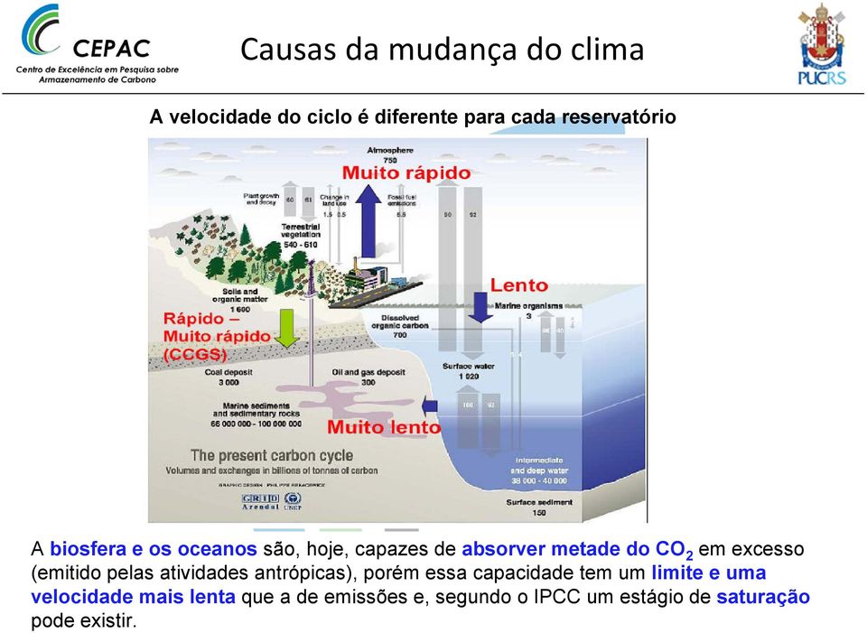 pelas atividades antrópicas), porém essa capacidade tem um limite e uma