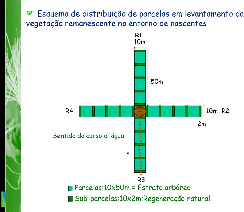 50m R4 10m R2 2m Sentido do curso d água R3