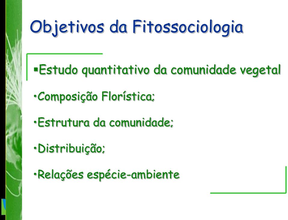 Composição Florística; Estrutura da