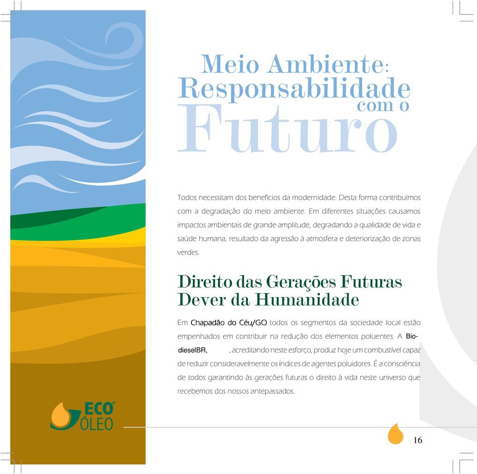 verdes. Direito das Gerações Futuras Dever da Humanidade Em Chapadão do Céu/GO todos os segmentos da sociedade local estão empenhados em contribuir na redução dos elementos poluentes.