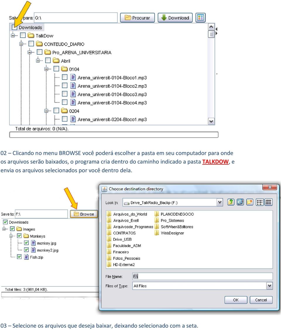 indicado a pasta TALKDOW, e envia os arquivos selecionados por você dentro