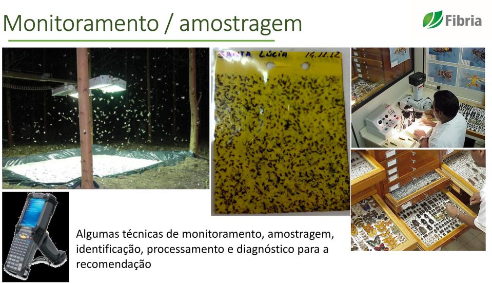 amostragem, identificação,