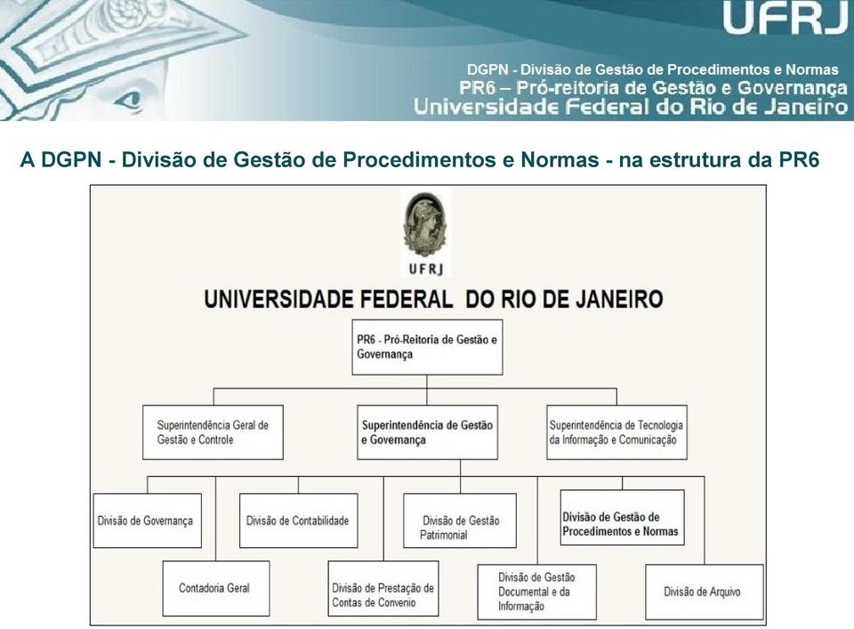 Procedimentos e