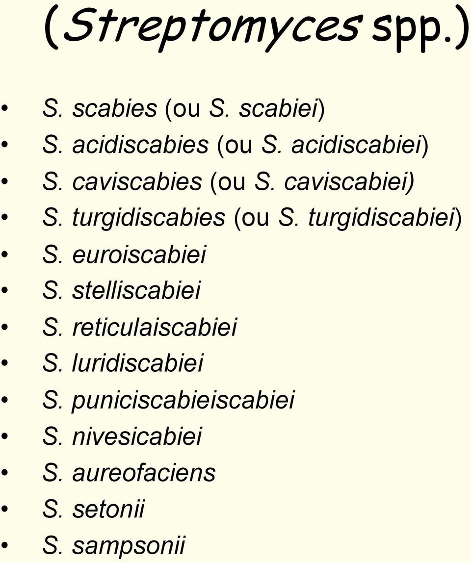 turgidiscabiei) S. euroiscabiei S. stelliscabiei S. reticulaiscabiei S.