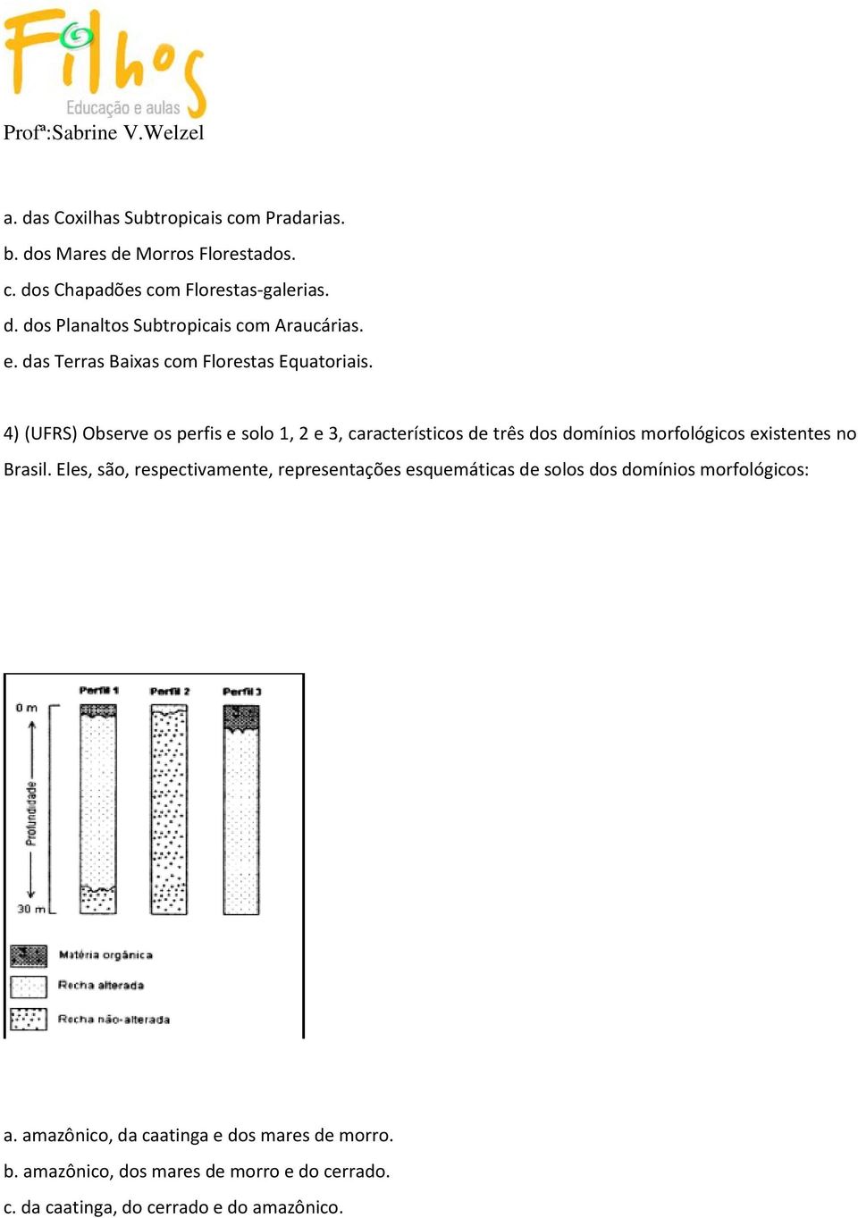 4) (UFRS) Observe os perfis e solo 1, 2 e 3, característicos de três dos domínios morfológicos existentes no Brasil.