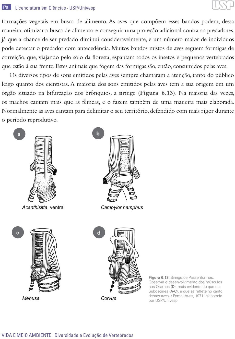 e um número maior de indivíduos pode detectar o predador com antecedência.