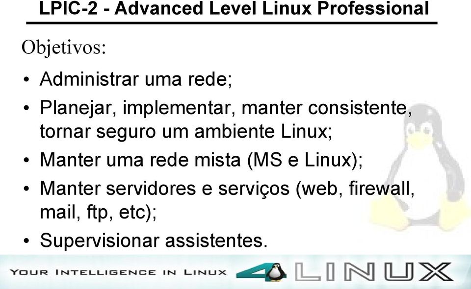 um ambiente Linux; Manter uma rede mista (MS e Linux); Manter