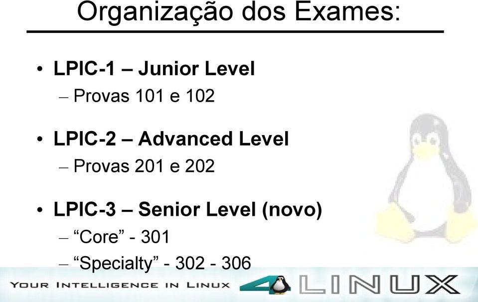 Level Provas 201 e 202 LPIC-3 Senior