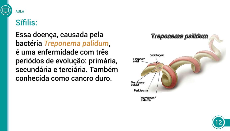 periódos de evolução: primária, secundária e