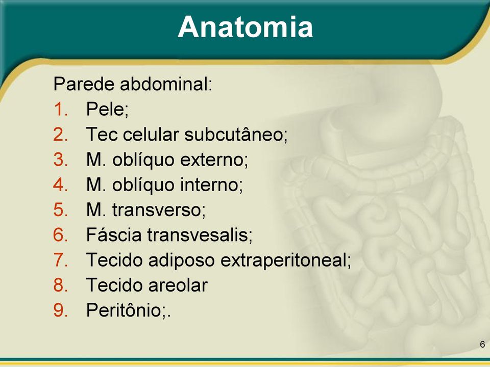 M. transverso; 6. Fáscia transvesalis; 7.