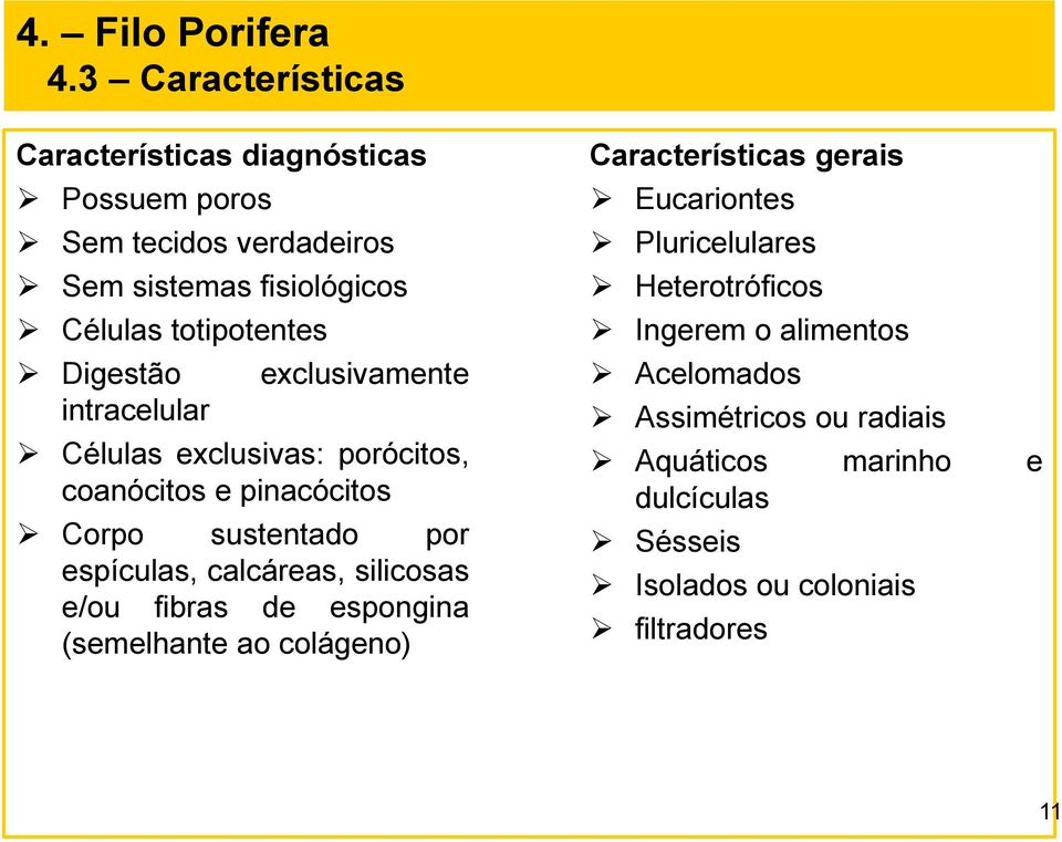 espículas, calcáreas, silicosas e/ou fibras de espongina (semelhante ao colágeno) Características gerais Eucariontes Pluricelulares