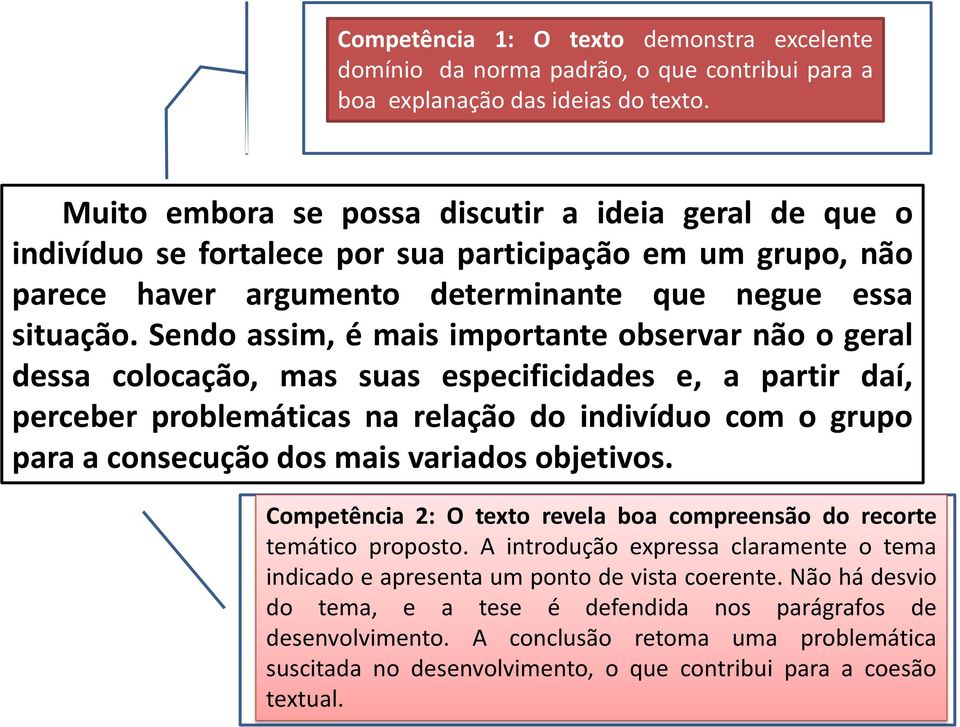 Sendo assim, é mais importante observar não o geral dessa colocação, mas suas especificidades e, a partir daí, perceber problemáticas na relação do indivíduo com o grupo para a consecução dos mais