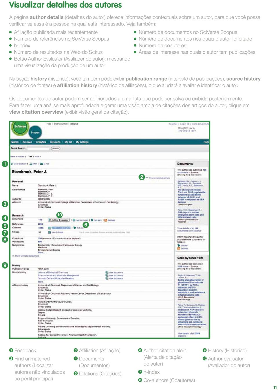 visualização da produção de um autor Número de documentos no SciVerse Scopus Número de documentos nos quais o autor foi citado Número de coautores Áreas de interesse nas quais o autor tem publicações