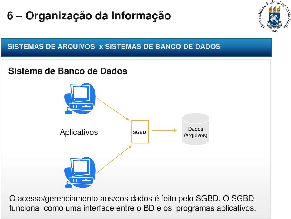 acesso/gerenciamento aos/dos dados é feito pelo SGBD.
