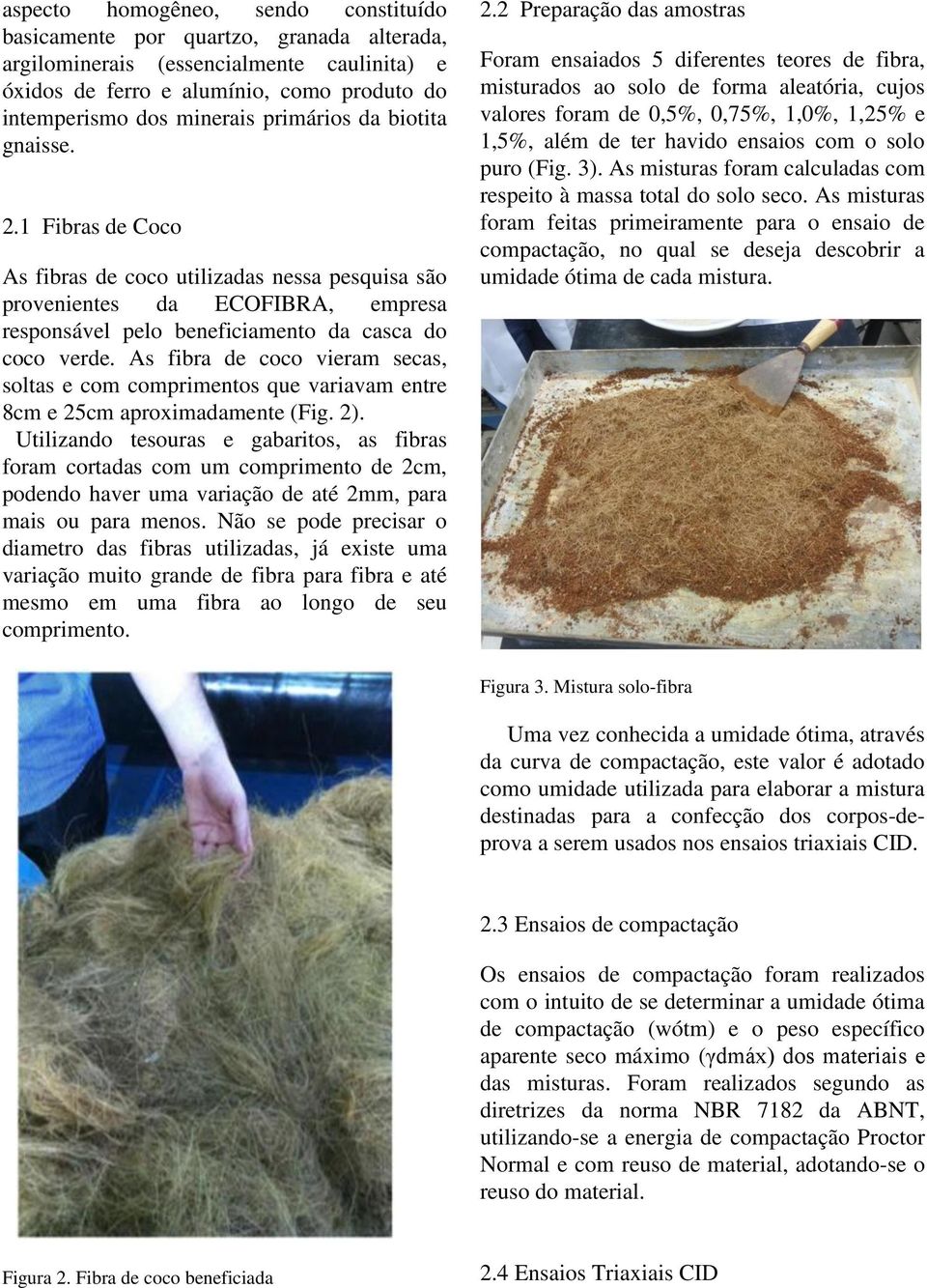As fibra de coco vieram secas, soltas e com comprimentos que variavam entre 8cm e 25cm aproximadamente (Fig. 2).