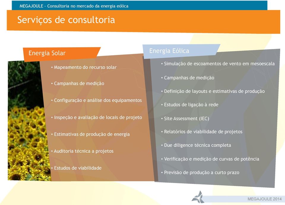 escoamentos de vento em mesoescala Campanhas de medição Definição de layouts e estimativas de produção Estudos de ligação à rede Site Assessment