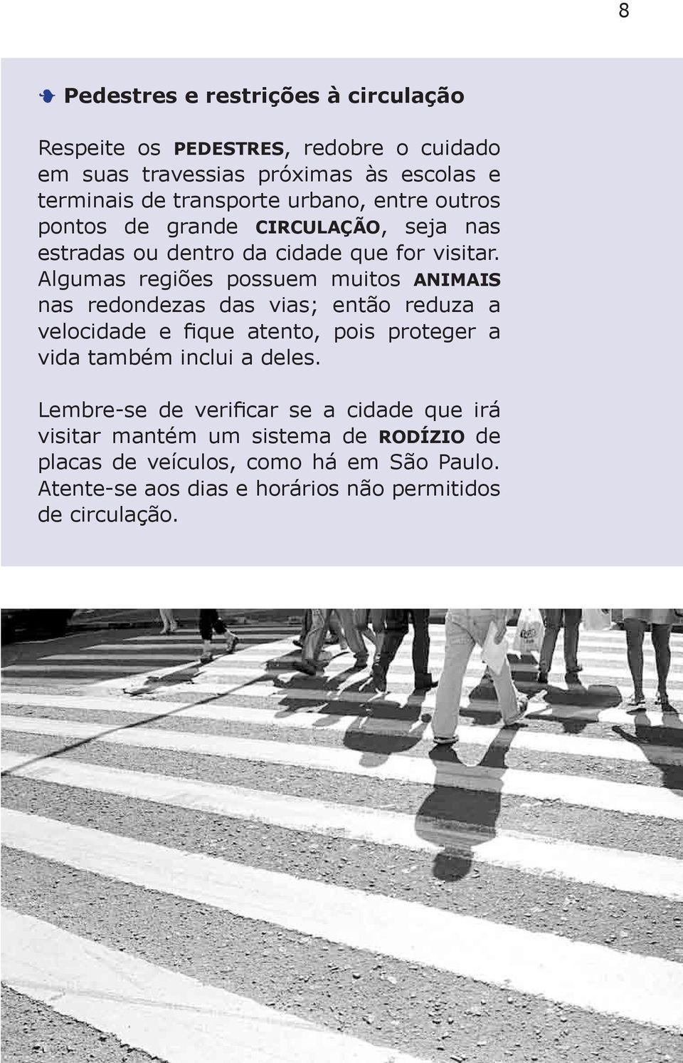 Algumas regiões possuem muitos animais nas redondezas das vias; então reduza a velocidade e fique atento, pois proteger a vida também inclui a