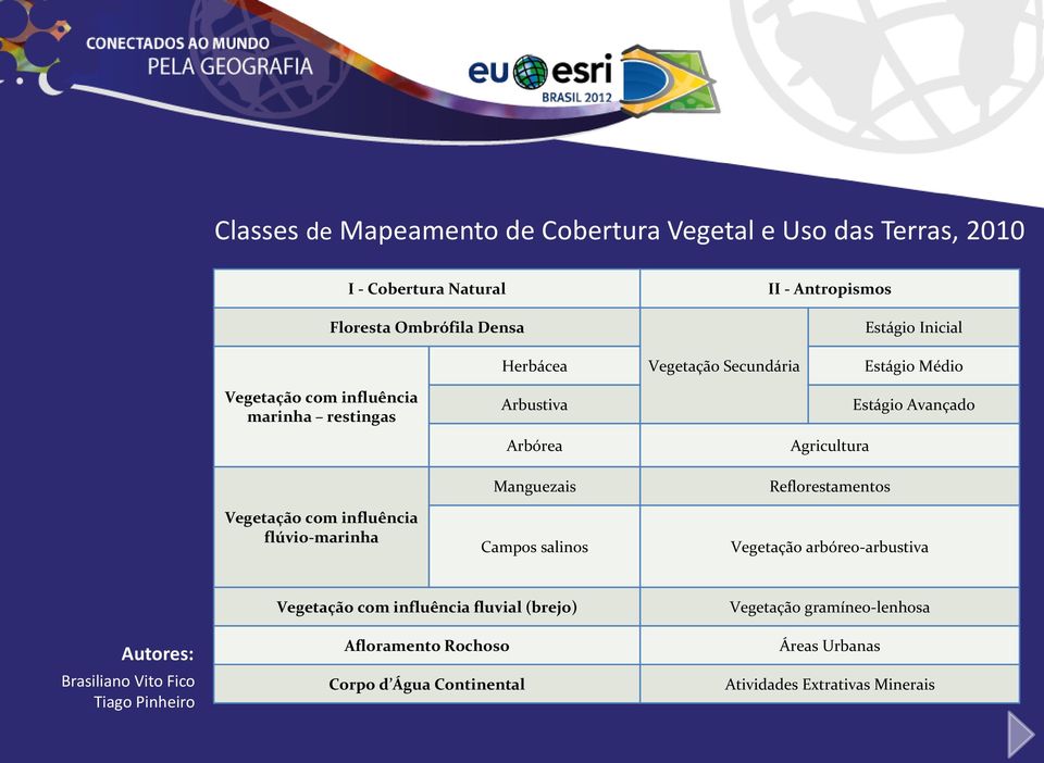 flúvio-marinha Arbustiva Arbórea Manguezais Campos salinos Estágio Avançado Agricultura Reflorestamentos Vegetação arbóreo-arbustiva