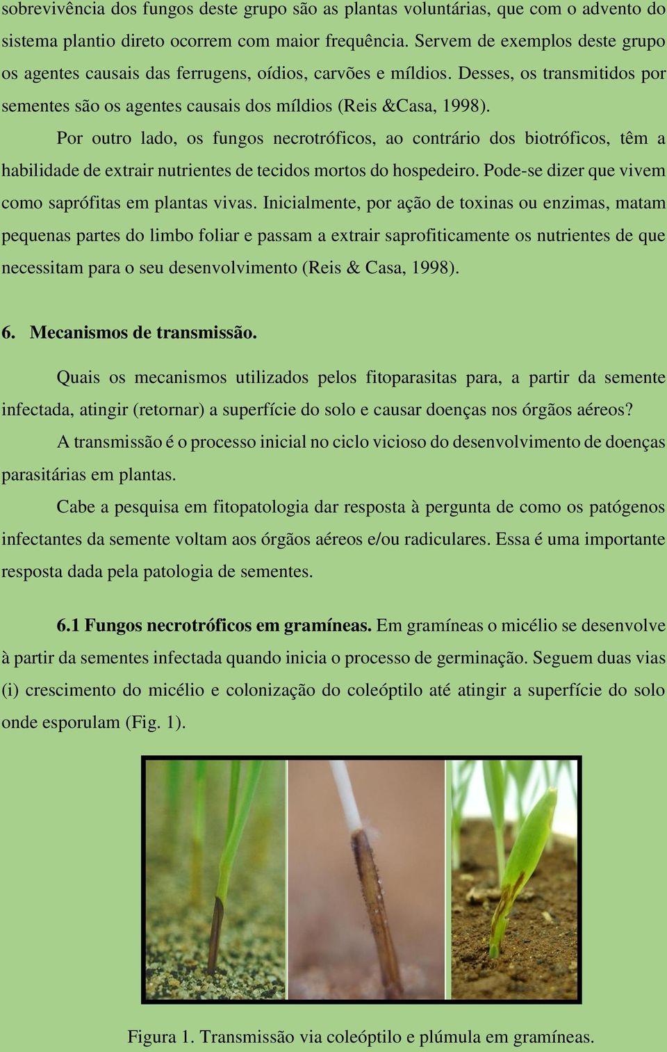 Por outro lado, os fungos necrotróficos, ao contrário dos biotróficos, têm a habilidade de extrair nutrientes de tecidos mortos do hospedeiro. Pode-se dizer que vivem como saprófitas em plantas vivas.