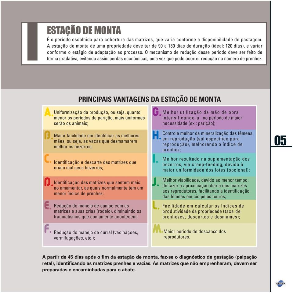 O mecanismo de redução desse período deve ser feito de forma gradativa, evitando assim perdas econômicas, uma vez que pode ocorrer redução no número de prenhez. A. B. C. D. E. F.