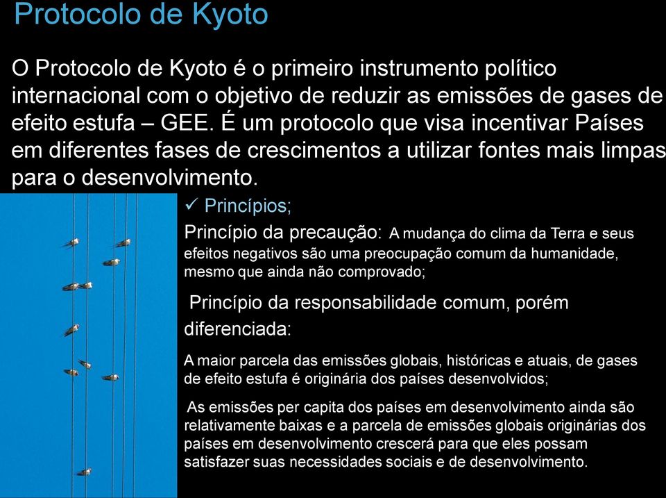 Princípios; Princípio da precaução: A mudança do clima da Terra e seus efeitos negativos são uma preocupação comum da humanidade, mesmo que ainda não comprovado; Princípio da responsabilidade comum,