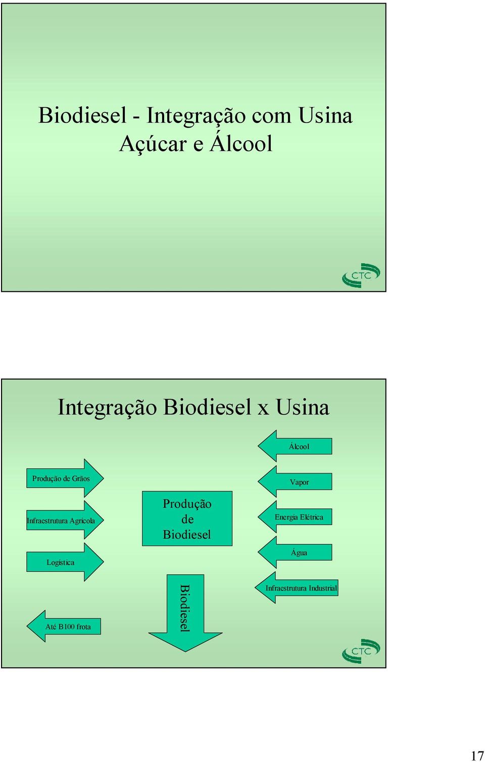 Agrícola Logística Produção de Biodiesel Vapor Energia