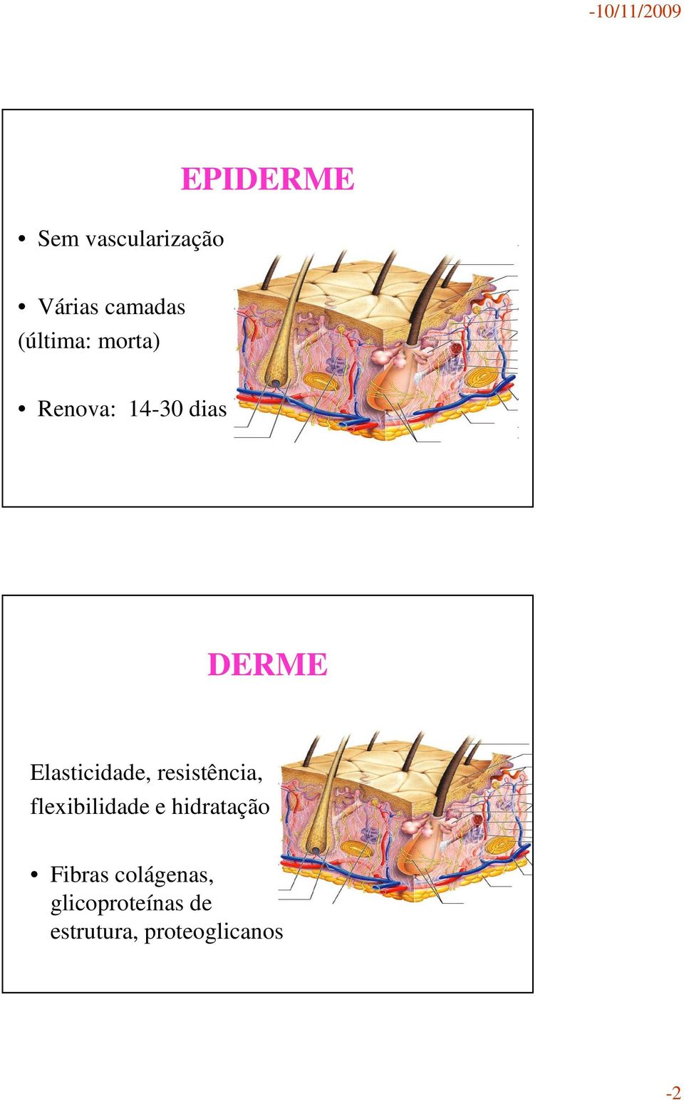 Elasticidade, resistência, flexibilidade e