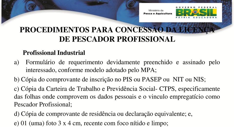 Carteira de Trabalho e Previdência Social- CTPS, especificamente das folhas onde comprovem os dados pessoais e o vinculo empregatício como