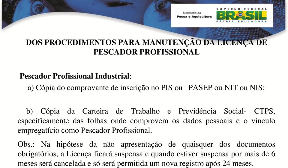 dados pessoais e o vinculo empregatício como Pescador Profissional. Obs.