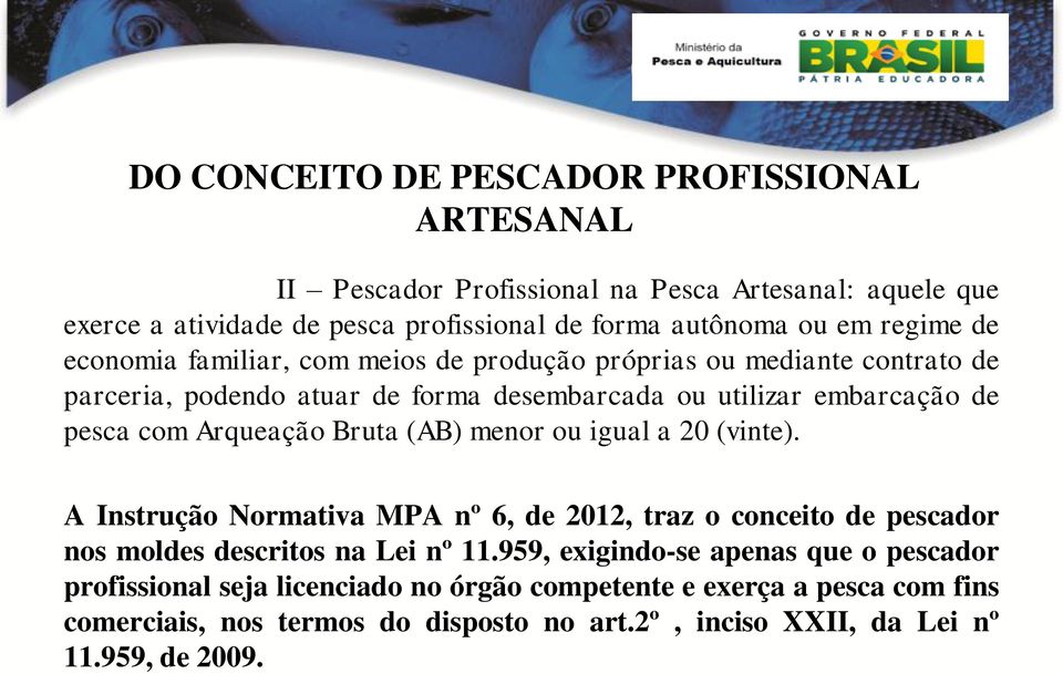 Arqueação Bruta (AB) menor ou igual a 20 (vinte). A Instrução Normativa MPA nº 6, de 2012, traz o conceito de pescador nos moldes descritos na Lei nº 11.