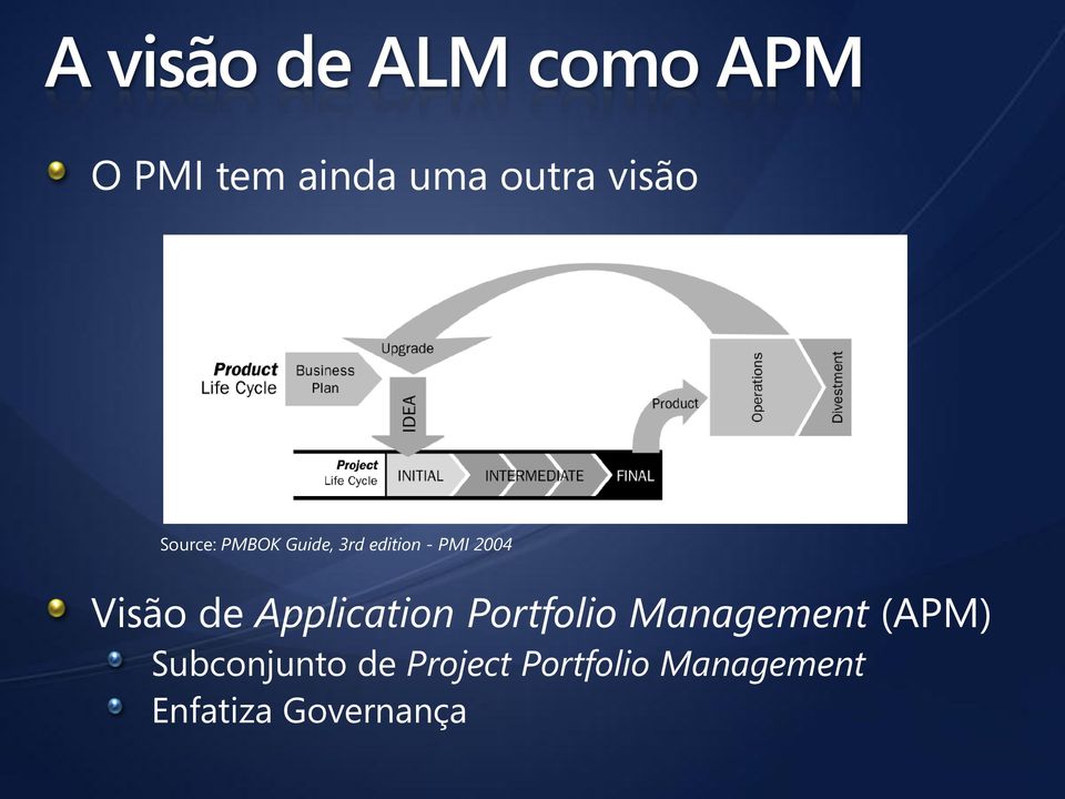 Visão de Application Portfolio Management (APM)