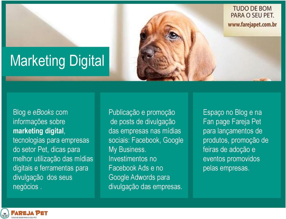 Publicação e promoção de posts de divulgação das empresas nas mídias sociais: Facebook, Google My Business.