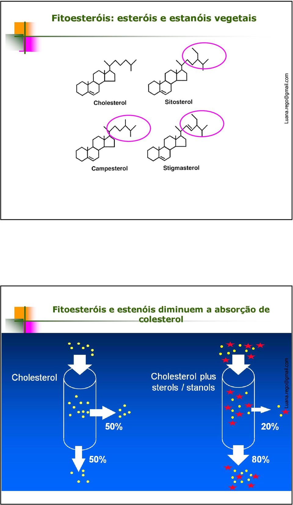 com Fitoesteróis is e estenóis