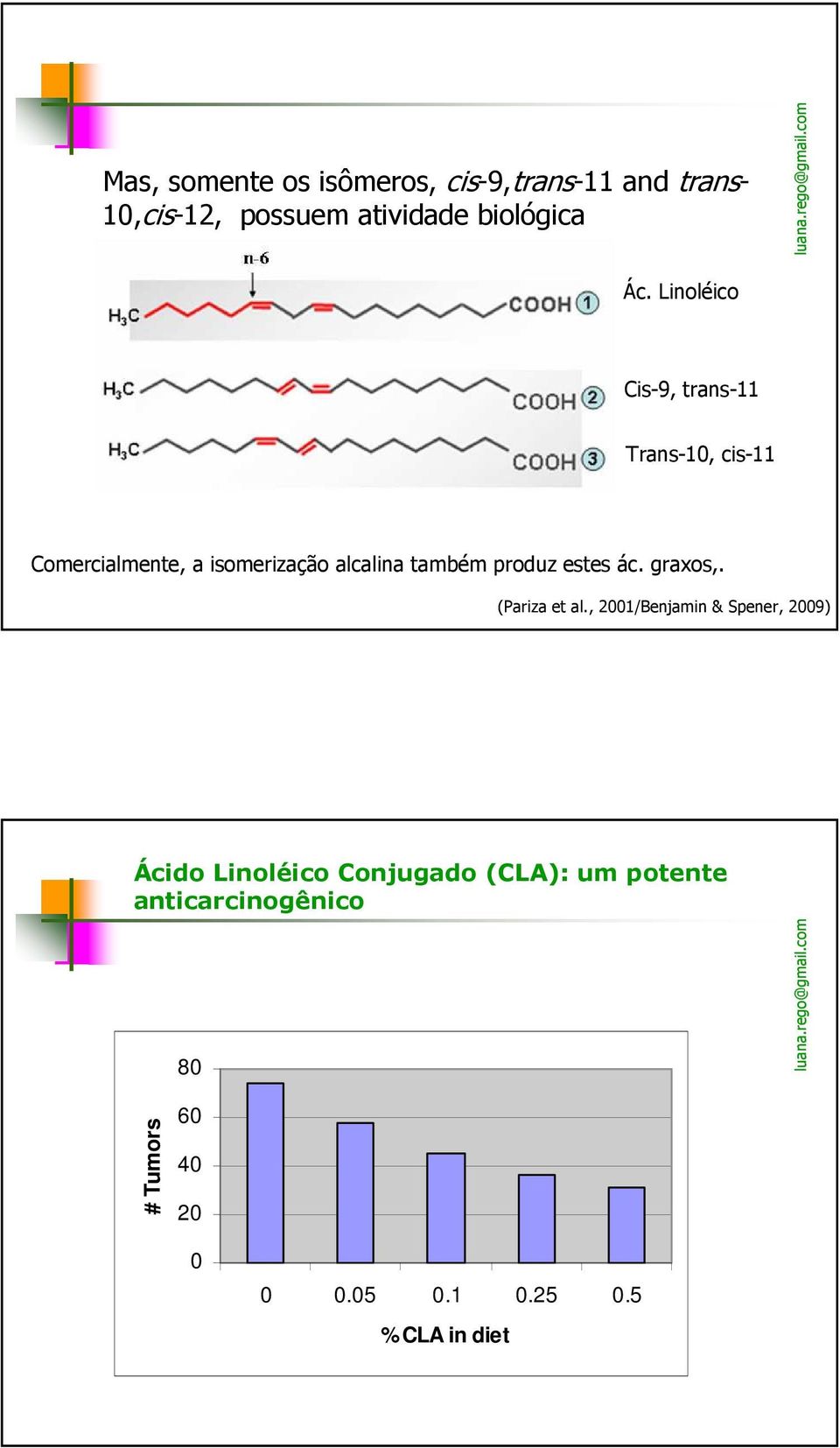 produz estes ác. graxos,. (Pariza et al.