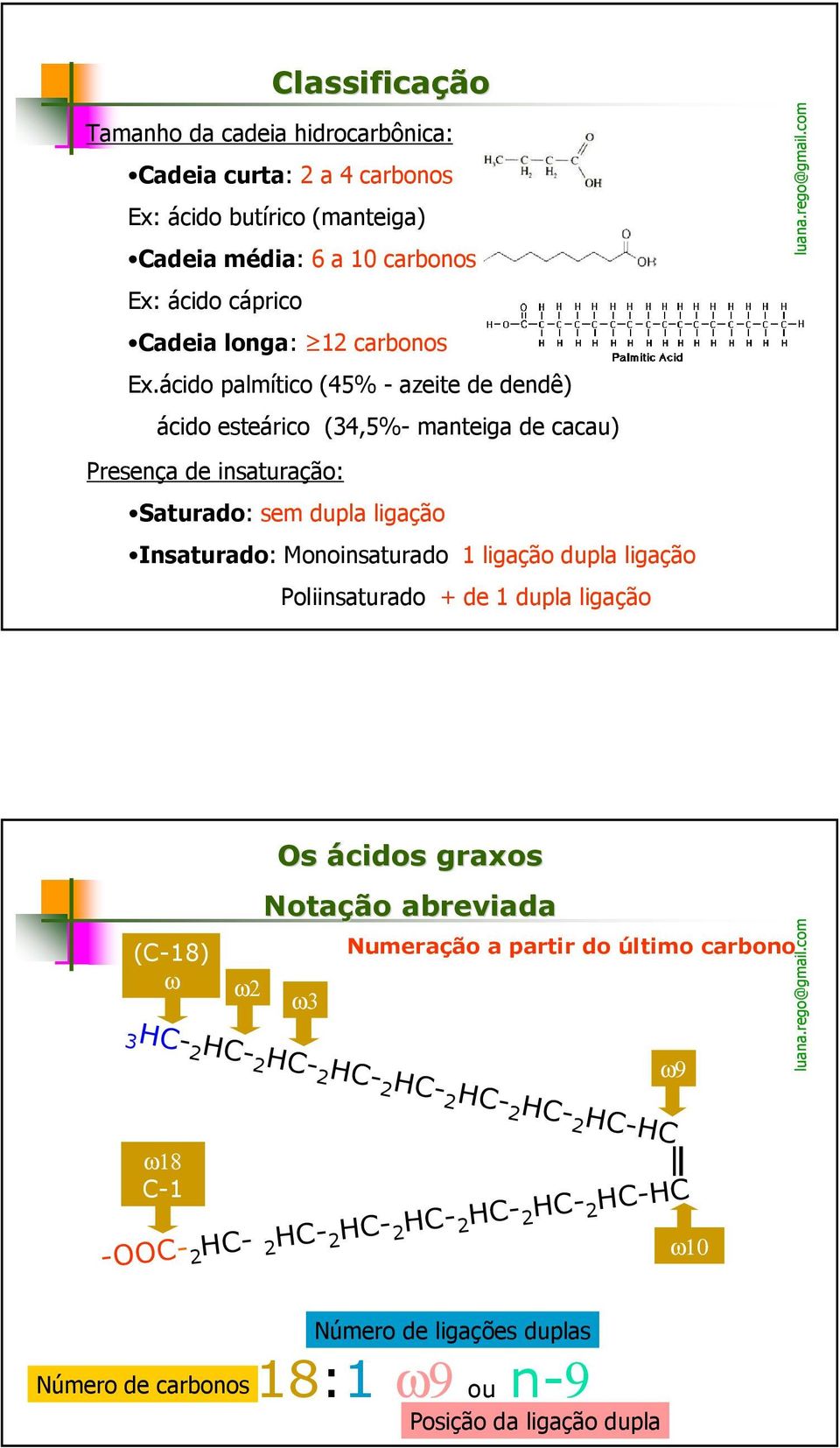 Monoinsaturado 1 ligação dupla ligação Poliinsaturado + de 1 dupla ligação (C-18) ω ω2 Os ácidos graxos Notação abreviada ω3 Numeração a partir do último carbono 3HC- 2 HC-