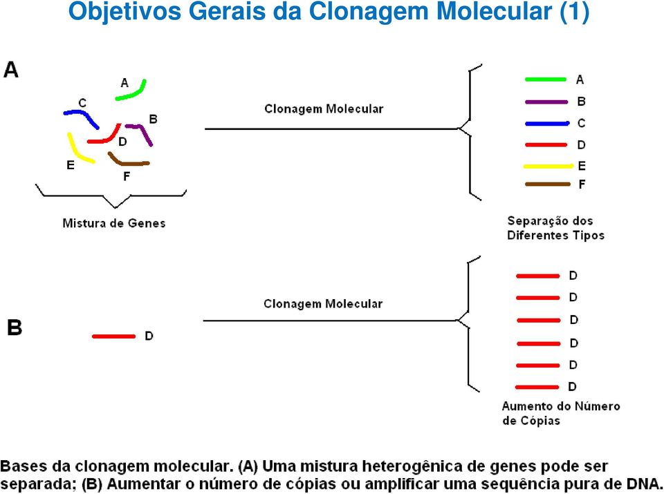 Clonagem