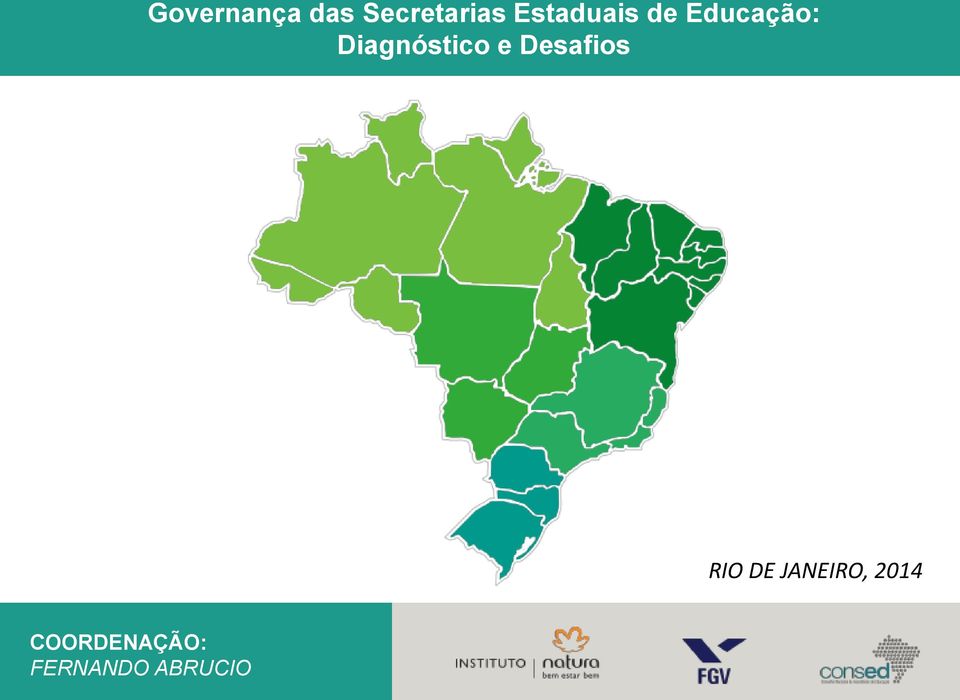 Diagnóstico e Desafios RIO DE